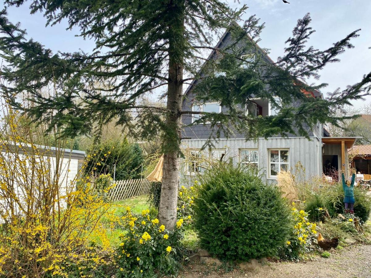 Gronocottage Bad Harzburg Exterior photo